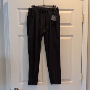 Women's Fleece Lined Pants - Black | Eddie Bauer 2P